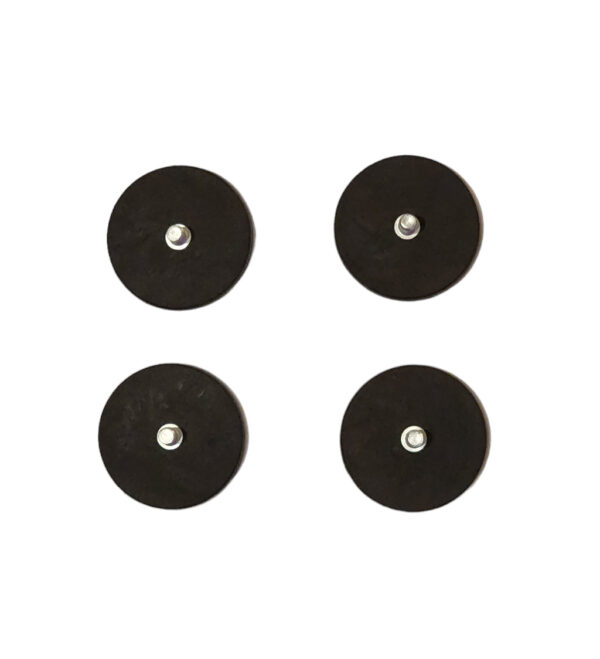 Magnets (Set of 4)